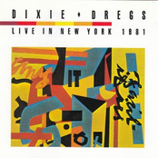 Live in New York 1981