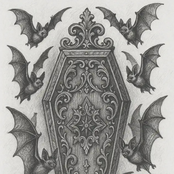 Coffin Bliss