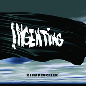 Kjempegreier