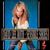 Sensible Shoes