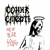 NEW YEAR SONG