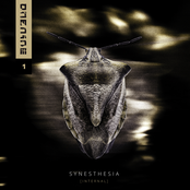 SYNESTHESIA [INTERNAL]
