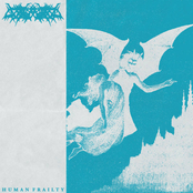 Human Frailty