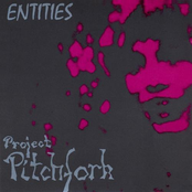 Project Pitchfork – Entities