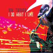 I DO WHAT I LIKE