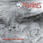 Under The Snow