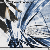 Scatterbrain