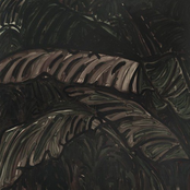 Entagled In Vines