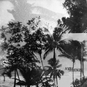 Avec IV