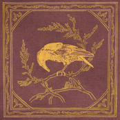 About A House by Curiosity Shop