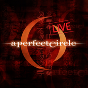 Mer De Noms - Live