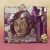 Stillness In Wonderland (Deluxe Edition) cover