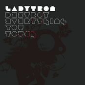 Destroy Everything You Touch cover