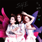 花又開好了 cover