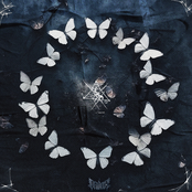 The Butterfly Effect