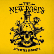 The New Roses – Attracted To Danger