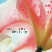 Sexual Healing by Marvin Gaye