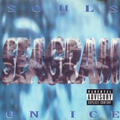 Souls on Ice