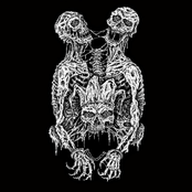 The Hara – Fool & The Thief