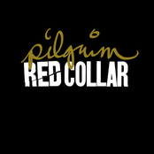 Pilgrim