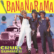 Cruel Summer cover