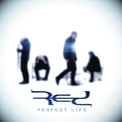 Perfect Life