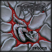 Reborn