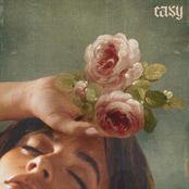 Easy cover