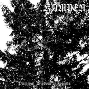 Primeval Wisdom Of Forests