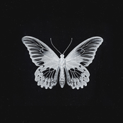 Monarch