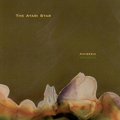 Aniseed