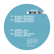 Bird Matrix (Remixes)
