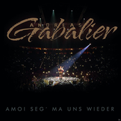 Andreas Gabalier – Amoi Seg' Ma Uns Wieder