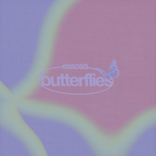 Essosa – butterflies