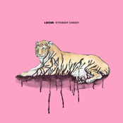 Stranger Danger cover