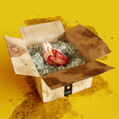Das Lumpenpack – emotions