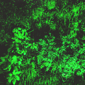 Deaf Heat EP