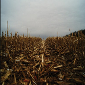 The Dry Season