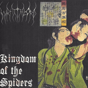 Kingdom of the Spiders