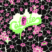 CATFITE