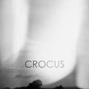 Discography