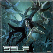 self