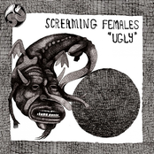 Ugly cover
