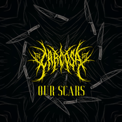 Our Scars