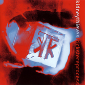 Trickstereprocess cover