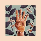 Leoniden – Leoniden