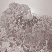 Fragments of Solitude