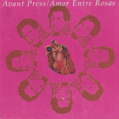 Amor Entre Rosas