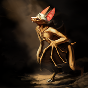 Wander