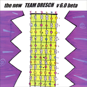 The New Team Dresch v 6.0 beta cover
